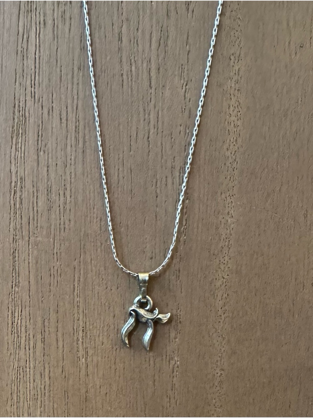 Retired Alex and Ani Sterling Silver Chai Pendant & Station Slider Necklace